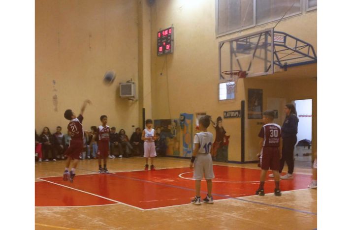 Aquilotti 2014 Borgaro: Alter 82 - Lo.Vi Basket 9 - 15